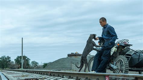 Black Dog: a winningly absurd tale of man's best friend.